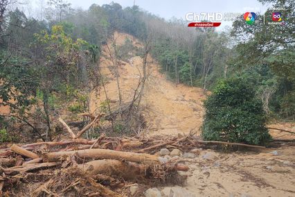 เปิดภาพไม้ท่อนจากป่าต้นน้ำนราธิวาส ต้นเหตุน้ำป่าหลาก