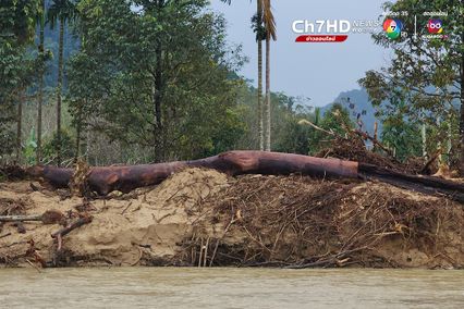 เปิดภาพไม้ท่อนจากป่าต้นน้ำนราธิวาส ต้นเหตุน้ำป่าหลาก