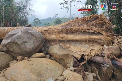 เปิดภาพไม้ท่อนจากป่าต้นน้ำนราธิวาส ต้นเหตุน้ำป่าหลาก