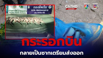 กระรอกบินเล็กแก้มแดง-แก้มขาว กลายเป็นซากเกือบ 30 ตัว เตรียมส่งออกทางหนองคาย