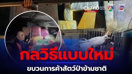 ชุดเหยี่ยวดง จับชาวเวียดนามค้าสัตว์ป่าข้ามชาติ ส่งออกนกปรอทหัวโขนไป สปป.ลาว