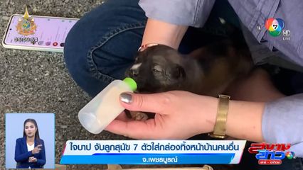 ใจบาป จับลูกสุนัข 7 ตัวใส่กล่องทิ้งหน้าบ้านคนอื่น