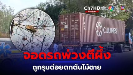 สลด หนุ่มโชเฟอร์รถบรรทุกพ่วง จอดรถตีผึ้งบนต้นไม้ คาดถูกผึ้งรุมต่อยร่วงตกต้นไม้เสียชีวิต