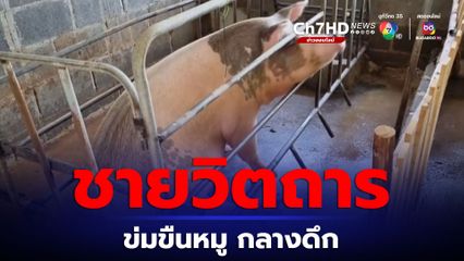ชายวิตถาร บุกข่มขืนหมูท้องแก่ในคอกกลางดึก