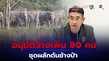 อธิบดีกรมอุทยานฯ อนุมัติจ้างชุดเฝ้าระวังผลักดันช้างป่า อช.ทับลาน เพิ่ม 80 คน