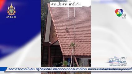 สวนสนุกลิง เล่นสไลด์เดอร์บนหลังคา