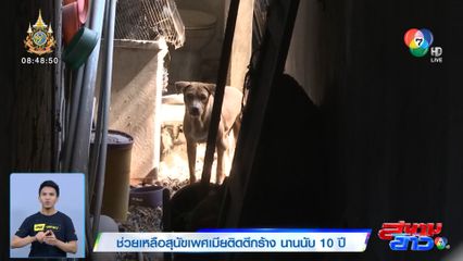 ช่วยเหลือสุนัขเพศเมียติดตึกร้าง นานนับ 10 ปี