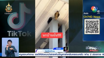 เอางูไล่นก สุดท้ายนกพากันทำรัง เพิ่มจำนวนกว่าเดิม