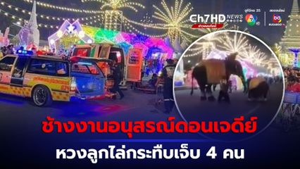 ช้างงานอนุสรณ์ดอนเจดีย์ทำร้ายคนบาดเจ็บ 4 คน