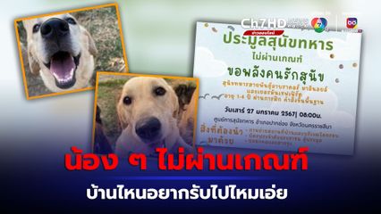 กำเงินให้พร้อม! ประมูลสุนัขทหารไม่ผ่านเกณฑ์