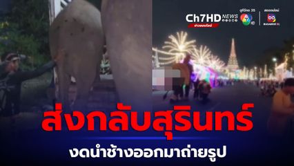 ส่งกลับสุรินทร์ทันที ช้างทำร้ายคนในงานอนุสรณ์ดอนเจดีย์