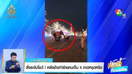 สั่งระงับโชว์! หลังช้างทำร้ายคนเจ็บ 4 คน คาดหงุดหงิด
