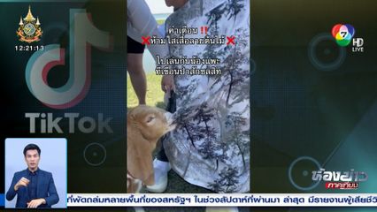 เคี้ยวเพลินเลย นั่นไม่ใช่อาหารนะ