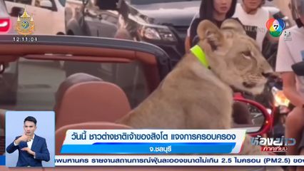 วันนี้ ชาวต่างชาติเจ้าของสิงโต แจงการครอบครอง