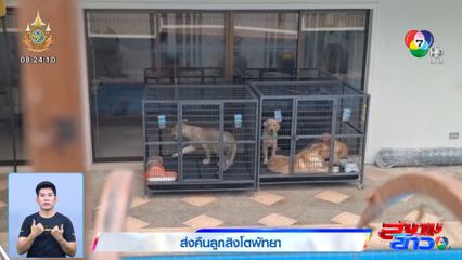 กรมอุทยานแห่งชาติฯ เผยเลี้ยงดูลูกสิงโตไม่เหมาะสม ต้องคืนฟาร์ม