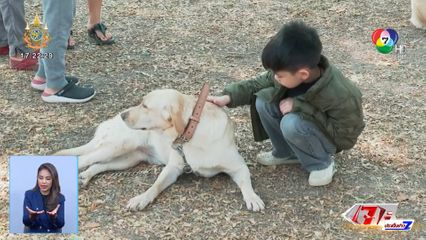 รายงานพิเศษ : ประมูลสุนัขทหารไม่ผ่านเกณฑ์ 54 ตัว