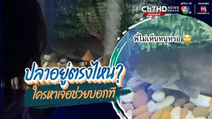ปลาอยู่ตรงไหน? ใครหาเจอช่วยบอกที