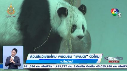 สวนสัตว์เชียงใหม่ พร้อมรับแพนด้าตัวใหม่