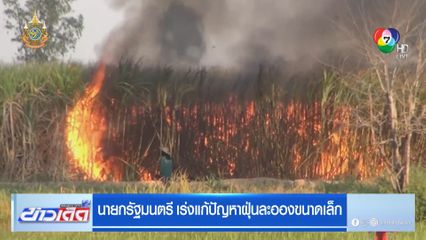 นายกรัฐมนตรี เร่งแก้ปัญหาฝุ่นละอองขนาดเล็ก