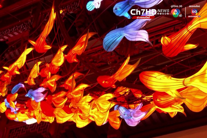 ตรุษจีนนครเซี่ยงไฮ้สว่างไสว จัดโคมไฟละลานตาต้อนรับปีมังกร