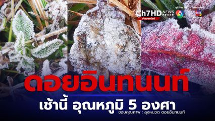 ยอดดอยอินทนนท์ เช้านี้ อุณหภูมิต่ำสุด 5 องศา