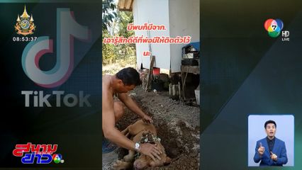 ภาพเป็นข่าว : สุนัขแกล้งตาย เกือบเนียน