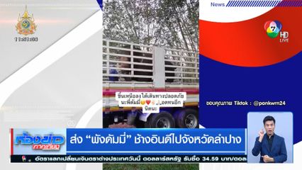 ส่ง พังดัมมี่ ช้างอินดีไปจังหวัดลำปาง