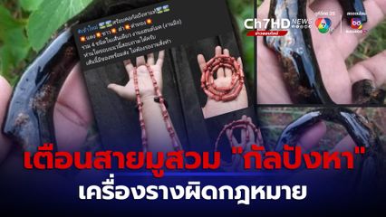 เตือนสายมูสวม "กัลปังหา" เป็นสัตว์ป่าคุ้มครองผิดกฎหมาย