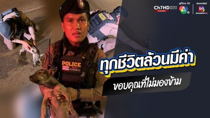 ทุกชีวิตล้วนมีค่า ขอบคุณที่ไม่มองข้าม