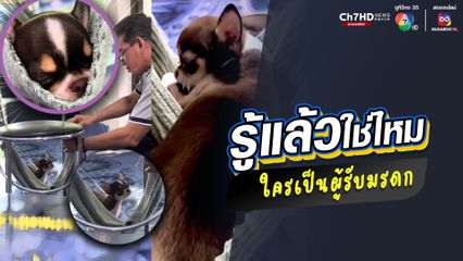 เมื่อพ่อไม่ชอบสุนัข แต่ทำเปล ไกวเปลให้นอนหลับปุ๋ยเชียว ชาวเน็ตแซวแบบนี้เขาเรียกทาสหมาของแทร่