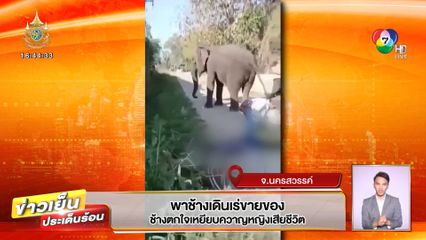 พาช้างเดินเร่ขายของ ช้างตกใจเหยียบควาญหญิงเสียชีวิต