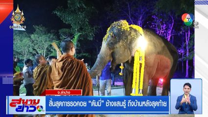 สิ้นสุดการรอคอย ดัมมี่ ช้างแสนรู้ ถึงบ้านหลังสุดท้าย