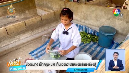 ชีวิตรันทด เด็กหญิง ป.6 เก็บแตงกวาขายหาเงินเรียน-เลี้ยงปู่