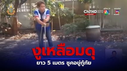 งูเหลือมดุ ยาว 5 เมตร ชูคอขู่กู้ภัย