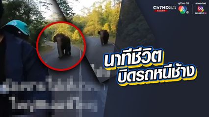 นทท.ขี่รถ จยย.ไปเที่ยวเขาใหญ่ เจอช้างป่าวิ่งไล่