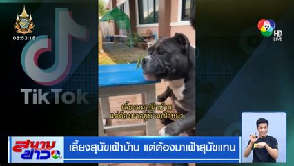 ภาพเป็นข่าว : เลี้ยงสุนัขเฝ้าบ้าน แต่ต้องมาเฝ้าสุนัขแทน