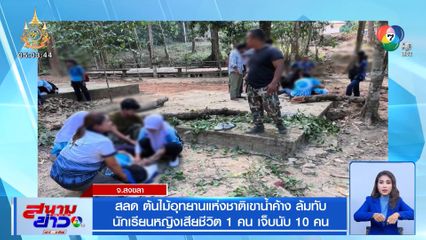 สลด ต้นไม้อุทยานแห่งชาติเขาน้ำค้าง ล้มทับ นักเรียนหญิงเสียชีวิต 1 คน เจ็บนับ 10 คน