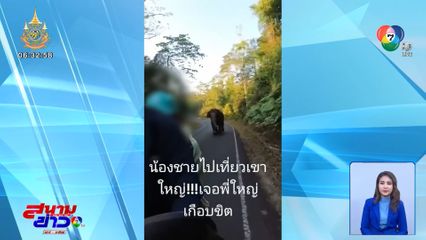 ขี่รถ จยย.หนีช้าง แบบสุดชีวิต