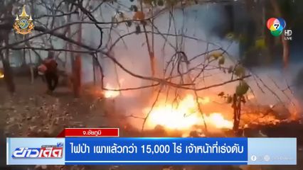 ไฟป่า เผาแล้วกว่า 15,000 ไร่ เจ้าหน้าที่เร่งดับ จ.ชัยภูมิ