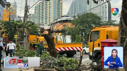 เคลียร์ดรามา เขตบางรักตัดต้นไม้ทิ้ง