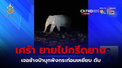 ยายไปกรีดยาง เจอช้างป่าบุกพังกระท่อมเหยียบ ดับ