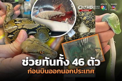 รวบทัน! หนุ่มมองโกเลียลักลอบนำสัตว์ป่าในบัญชี CITES ออกนอกประเทศ