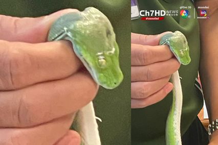 รวบทัน! หนุ่มมองโกเลียลักลอบนำสัตว์ป่าในบัญชี CITES ออกนอกประเทศ