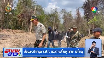 สั่งชะลอปักหมุด ส.ป.ก. แผ้วถางป่าในอุทยานฯ เขาใหญ่