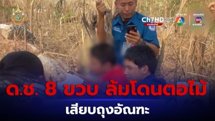 หวาดเสียว ด.ช.อายุ 8 ขวบ ลื่นล้มโดนตอไม้เสียบอัณฑะ