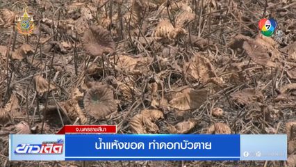 น้ำแห้งขอด ทำดอกบัวตาย