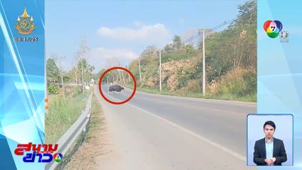 ขอความร่วมมือนักท่องเที่ยวขับรถยนต์ ระวังชน กระทิงโทน