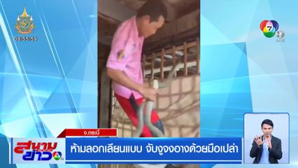 ห้ามลอกเลียนแบบ จับงูจงอางด้วยมือเปล่า