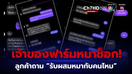 ช็อก! ลูกค้าถามฟาร์มหมา “รับผสมหมากับคนไหม”