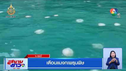 เตือนแมงกะพรุนพิษ จ.กระบี่